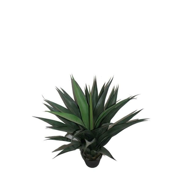 Maquina 40 in. Gladiolus Potted Tree MA3002405
